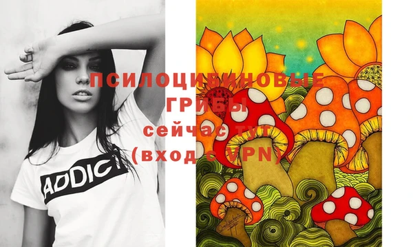 а пвп мука Козельск