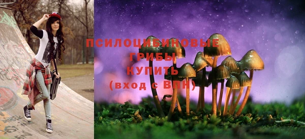 а пвп мука Козельск