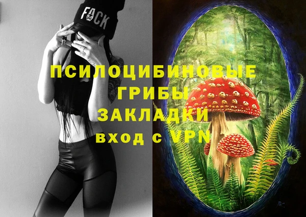 а пвп мука Козельск